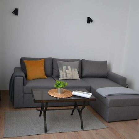 Modern City Center 2 Bedroom Apartment Sofya Dış mekan fotoğraf