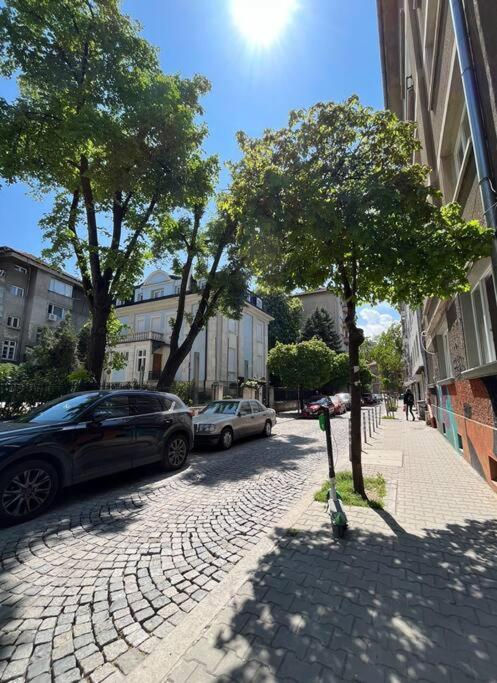 Modern City Center 2 Bedroom Apartment Sofya Dış mekan fotoğraf