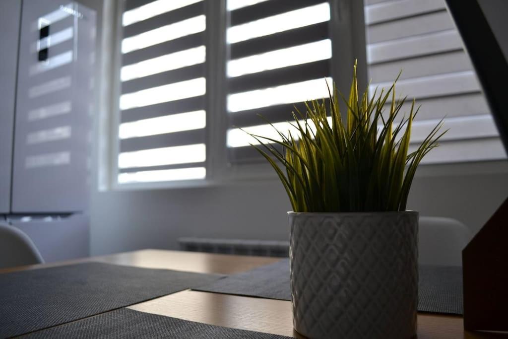 Modern City Center 2 Bedroom Apartment Sofya Dış mekan fotoğraf