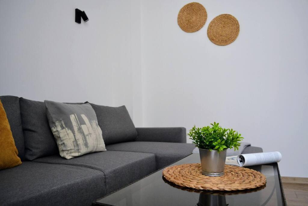 Modern City Center 2 Bedroom Apartment Sofya Dış mekan fotoğraf
